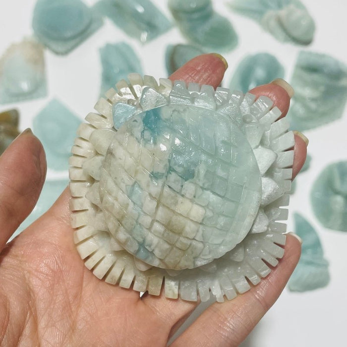19 Pieces Caribbean Calcite Marine Animals Carving