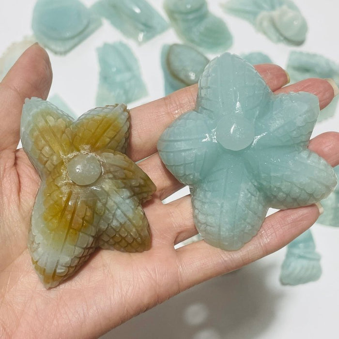 19 Pieces Caribbean Calcite Marine Animals Carving