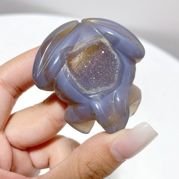 19 Pieces Geode Druzy Agate Frog Carving