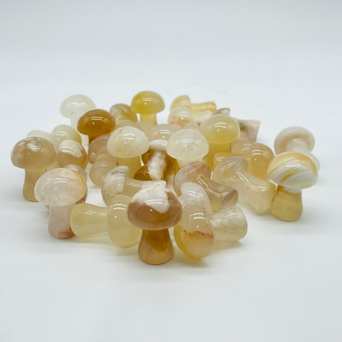 1in Agate Mushrooms Wholesale
