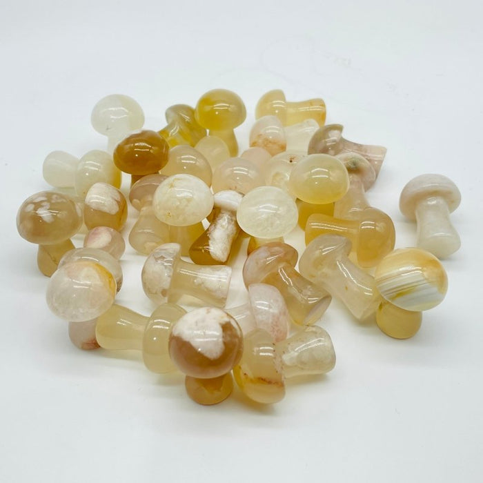 1in Agate Mushrooms Wholesale