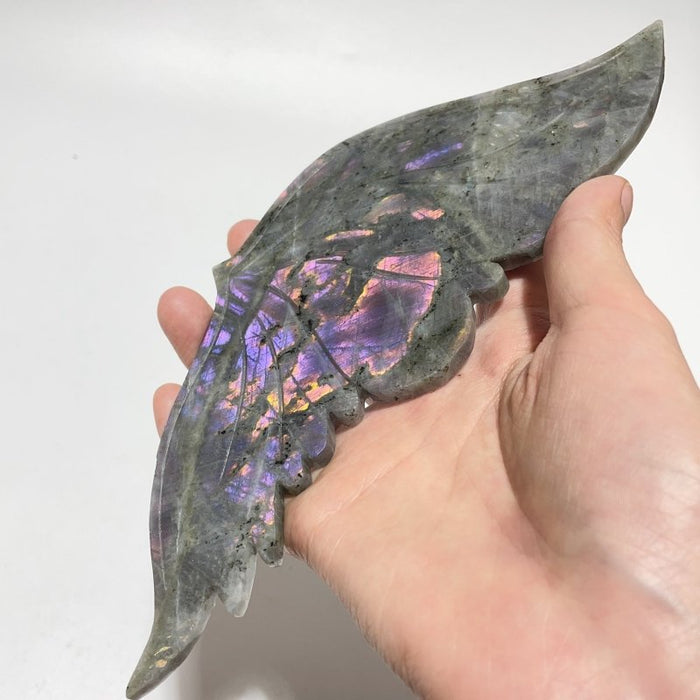 2 Pairs Butterfly Wing Carving With Stand Labradorite Crazy Agate