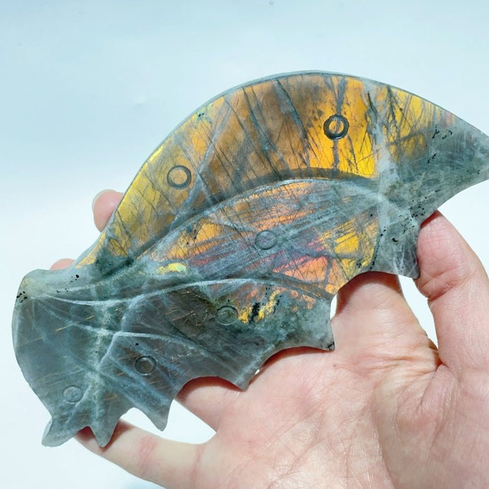 2 Pairs  Labradorite Flying Dragon Wing With Stand