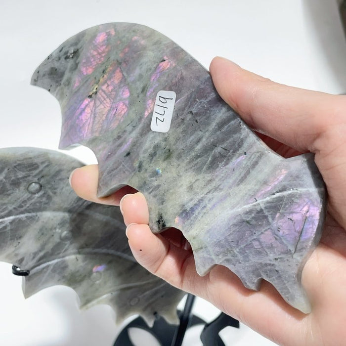2 Pairs  Labradorite Flying Dragon Wing With Stand