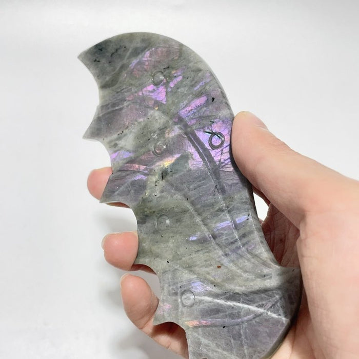 2 Pairs  Labradorite Flying Dragon Wing With Stand