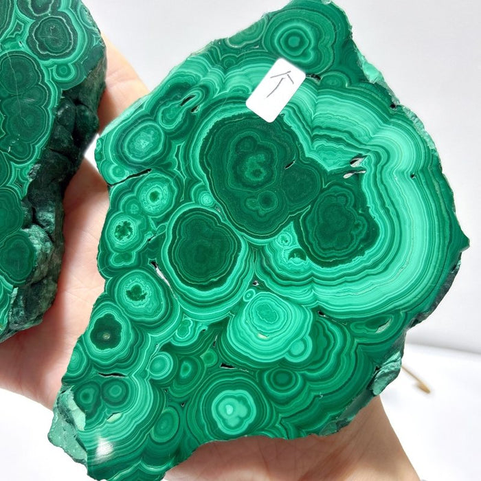 2 Pairs Polished Malachite Raw Slab Butterfly Wing Crystal Carving With Stand (#1)