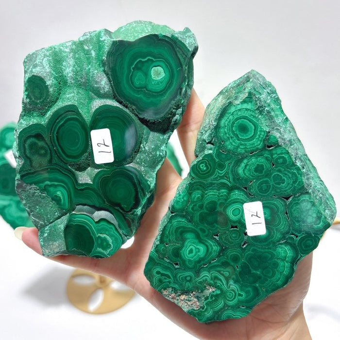 2 Pairs Polished Malachite Raw Slab Butterfly Wing Crystal Carving With Stand (#1)