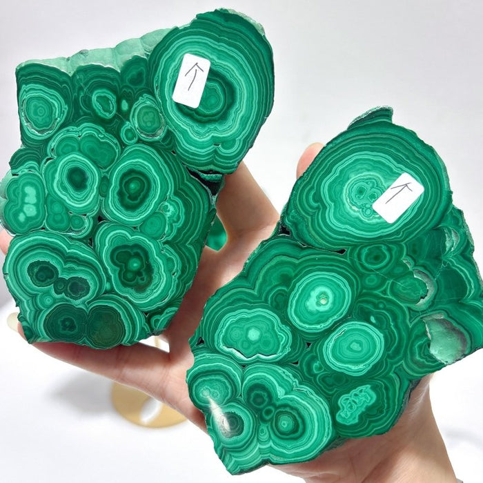 2 Pairs Polished Malachite Raw Slab Butterfly Wing Crystal Carving With Stand (#1)