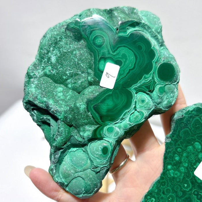 2 Pairs Polished Malachite Raw Slab Butterfly Wing Crystal Carving With Stand (#1)