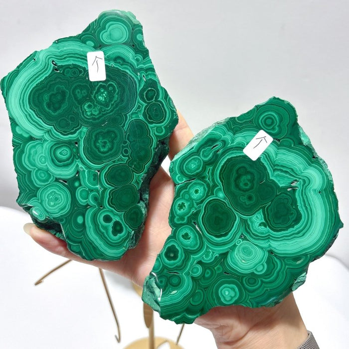 2 Pairs Polished Malachite Raw Slab Butterfly Wing Crystal Carving With Stand (#1)