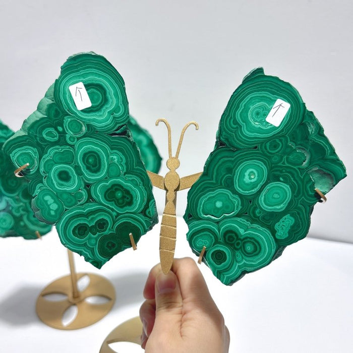 2 Pairs Polished Malachite Raw Slab Butterfly Wing Crystal Carving With Stand (#1)