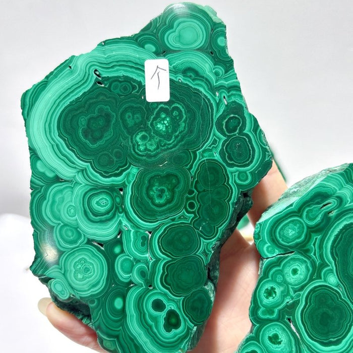 2 Pairs Polished Malachite Raw Slab Butterfly Wing Crystal Carving With Stand (#1)