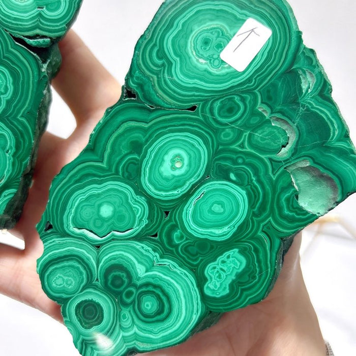 2 Pairs Polished Malachite Raw Slab Butterfly Wing Crystal Carving With Stand (#1)