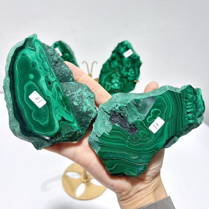 2 Pairs Polished Malachite Raw Slab Butterfly Wing With Stand (#3)