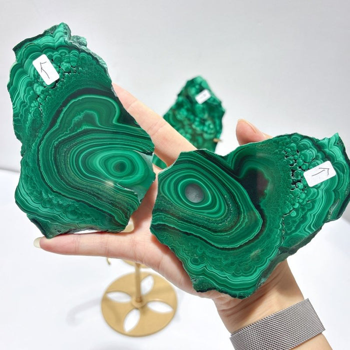 2 Pairs Polished Malachite Raw Slab Butterfly Wing With Stand (#3)