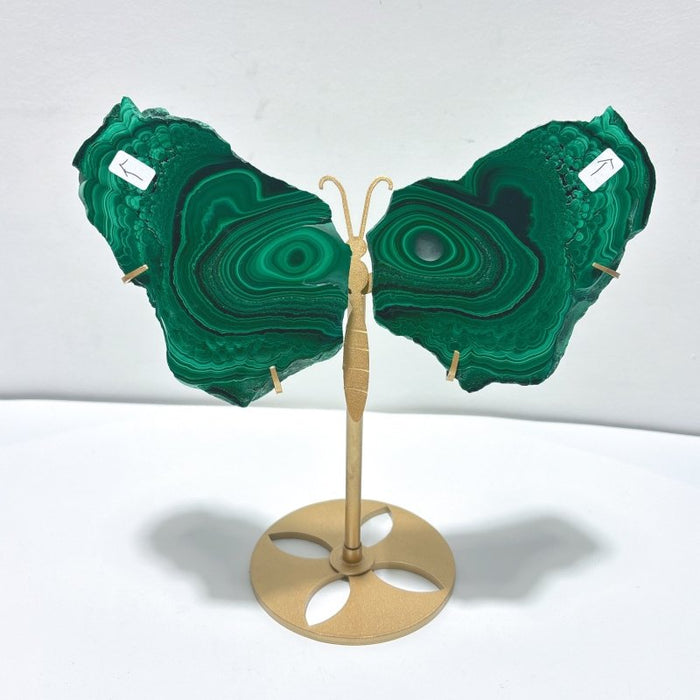 2 Pairs Polished Malachite Raw Slab Butterfly Wing With Stand (#3)