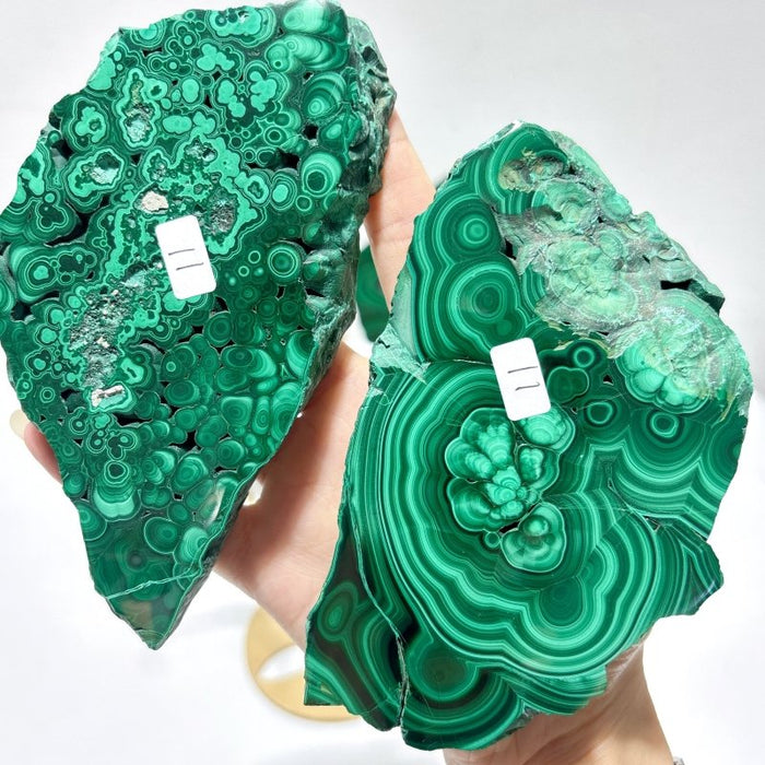 2 Pairs Polished Malachite Raw Slab Butterfly Wing With Stand (#3)