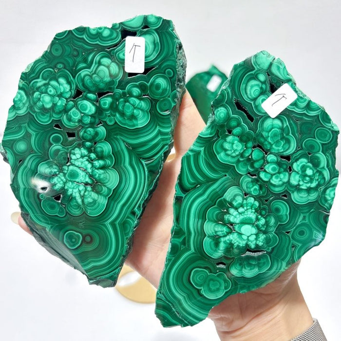 2 Pairs Polished Malachite Raw Slab Butterfly Wing With Stand (#3)
