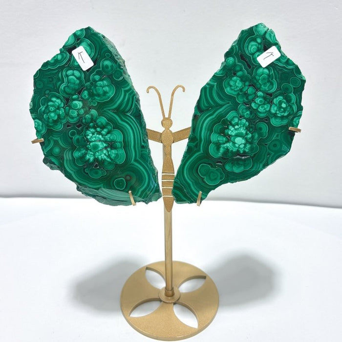 2 Pairs Polished Malachite Raw Slab Butterfly Wing With Stand (#3)