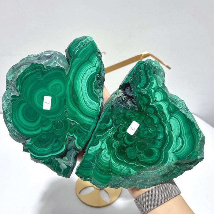 2 Pairs Polished Malachite Raw Slab Butterfly Wing With Stand (#5)