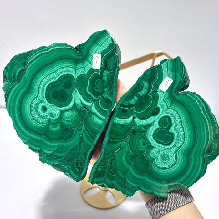 2 Pairs Polished Malachite Raw Slab Butterfly Wing With Stand (#5)