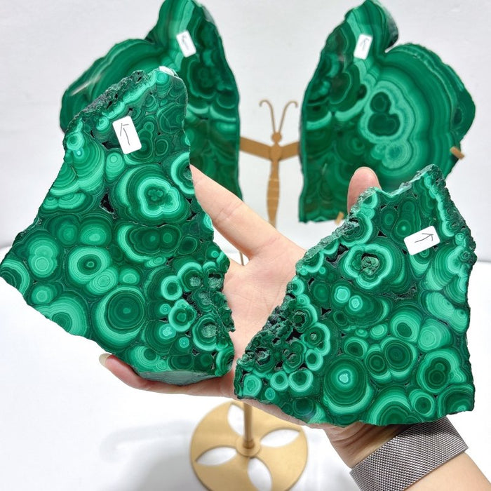 2 Pairs Polished Malachite Raw Slab Butterfly Wing With Stand (#5)