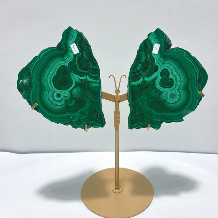 2 Pairs Polished Malachite Raw Slab Butterfly Wing With Stand (#5)