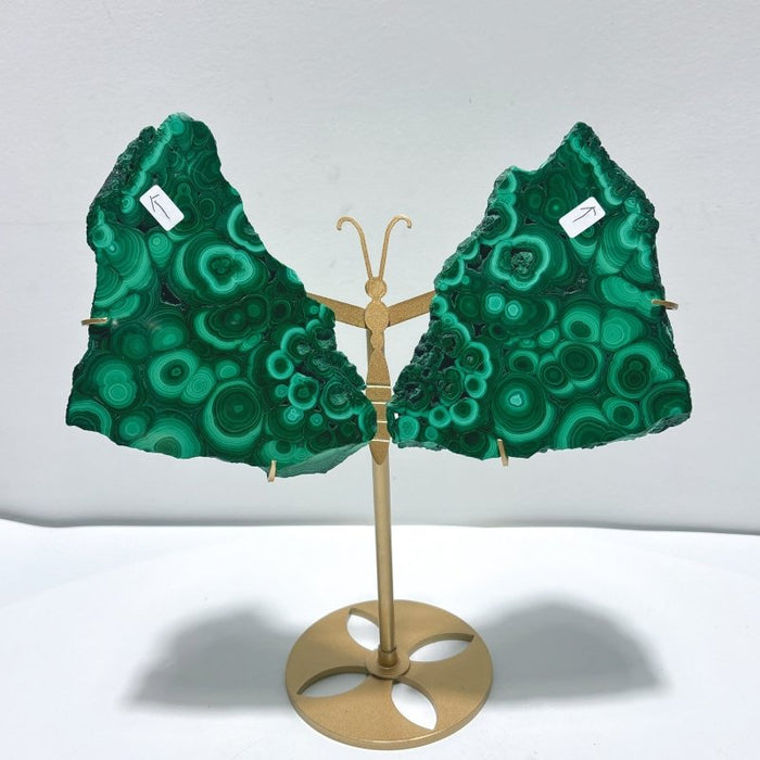 2 Pairs Polished Malachite Raw Slab Butterfly Wing With Stand (#5)