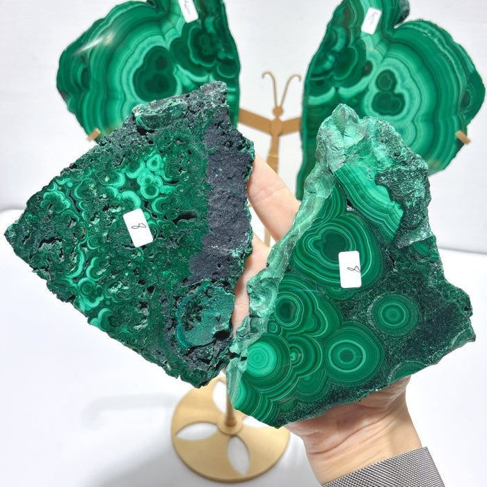 2 Pairs Polished Malachite Raw Slab Butterfly Wing With Stand (#5)