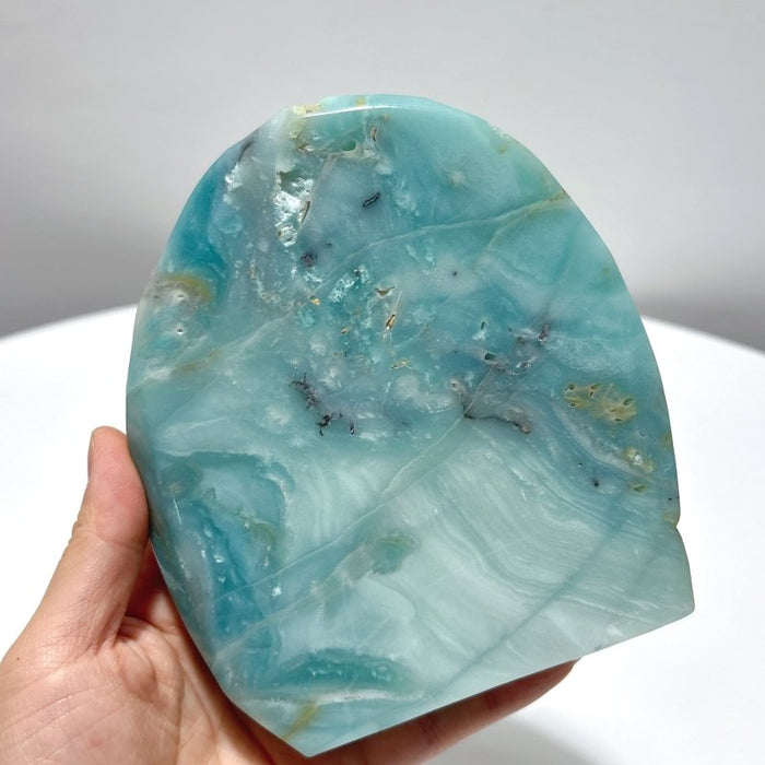 2 Pieces High Quality Caribbean Calcite Sea Animals Carving