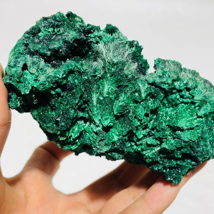 2 Pieces High Quality Large Raw Malachite Specimen