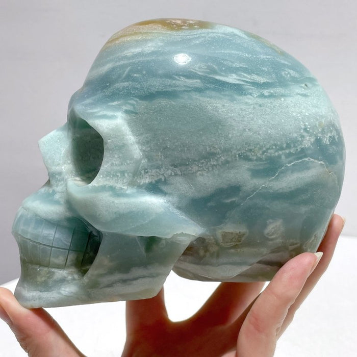 2 Pieces Large Caribbean Calcite Skull Carving