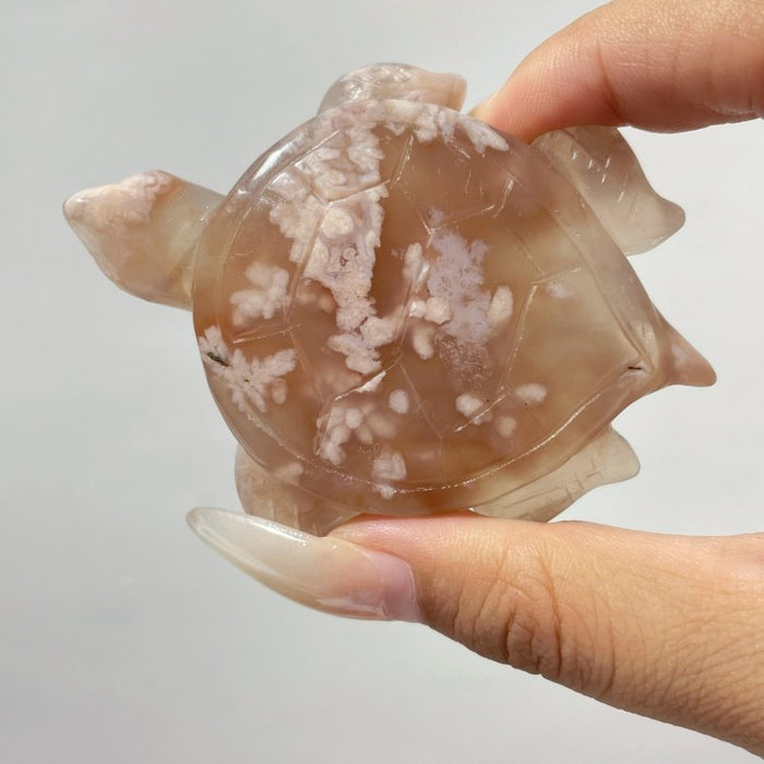 20 Pieces Beautiful Sakura Flower Agate Sea Turtle Carving