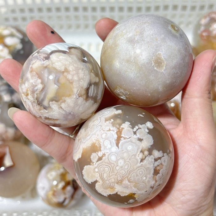 20 Pieces High Quality Sakura Agate Spheres
