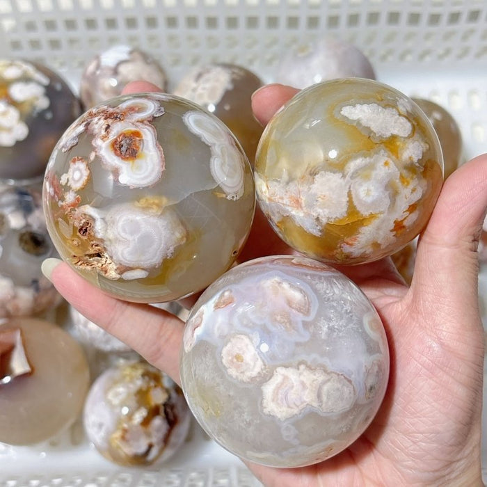 20 Pieces High Quality Sakura Agate Spheres