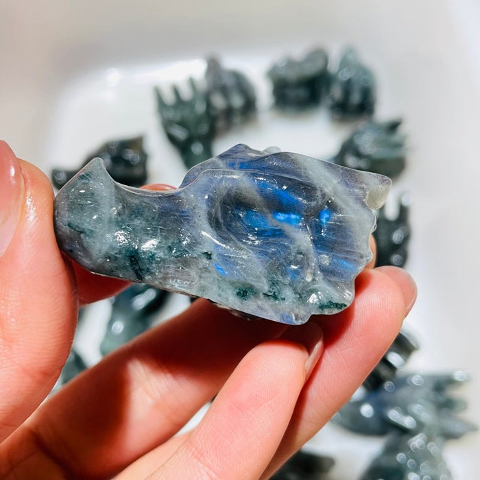 21 Pieces Labradorite Dragon Head Carving