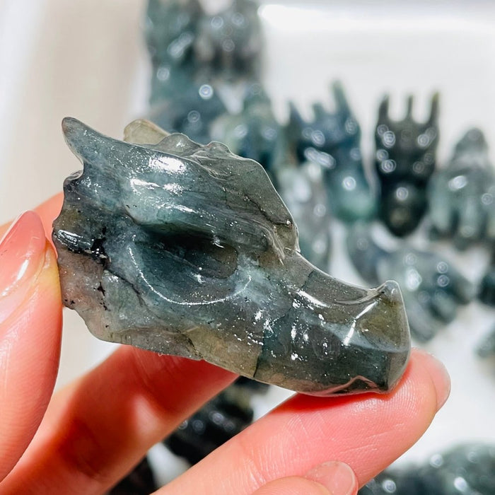 21 Pieces Labradorite Dragon Head Carving