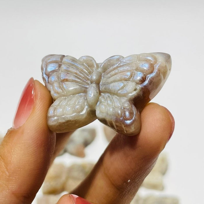 21 Pieces Sunstone Mixed Moonstone Butterfly Carving