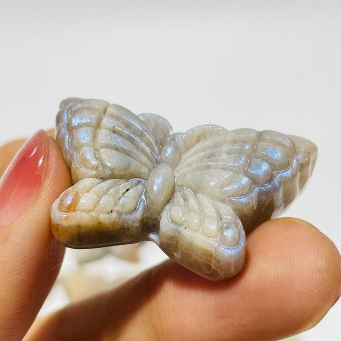 21 Pieces Sunstone Mixed Moonstone Butterfly Carving