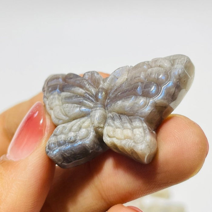 21 Pieces Sunstone Mixed Moonstone Butterfly Carving