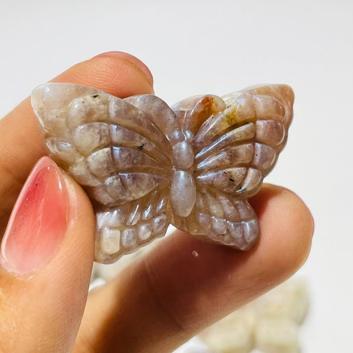 21 Pieces Sunstone Mixed Moonstone Butterfly Carving