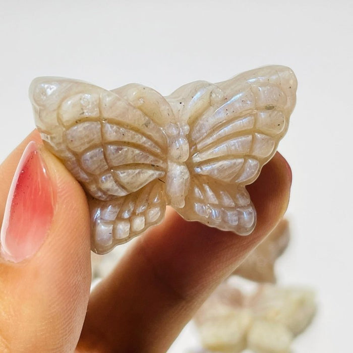 21 Pieces Sunstone Mixed Moonstone Butterfly Carving