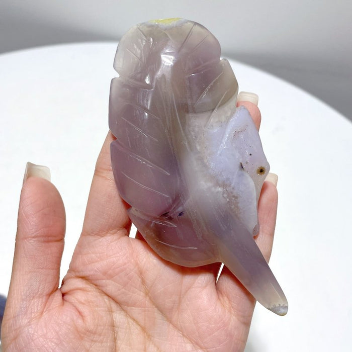 22 Pieces Beautiful Agate Feather Carving Closeout