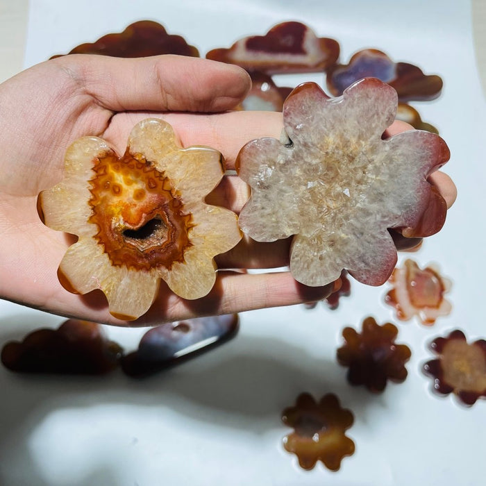 23 Pieces Geode Carnelian Carving