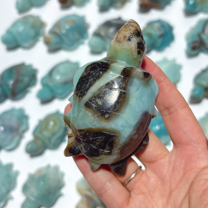 25 Pieces Caribbean Calcite Sea Turtle Carving