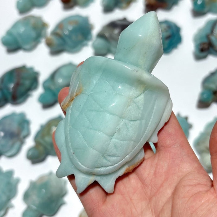 25 Pieces Caribbean Calcite Sea Turtle Carving