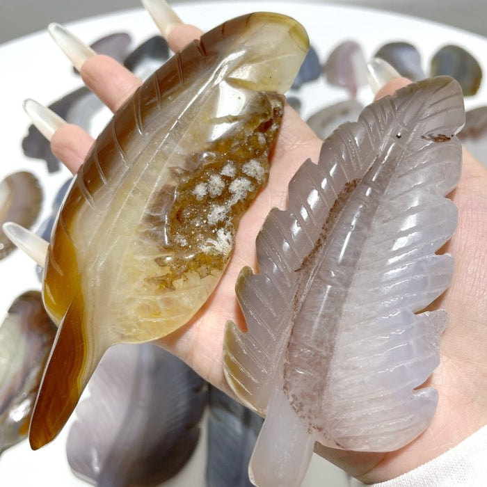 29 Pieces Beautiful Agate Feather Carving