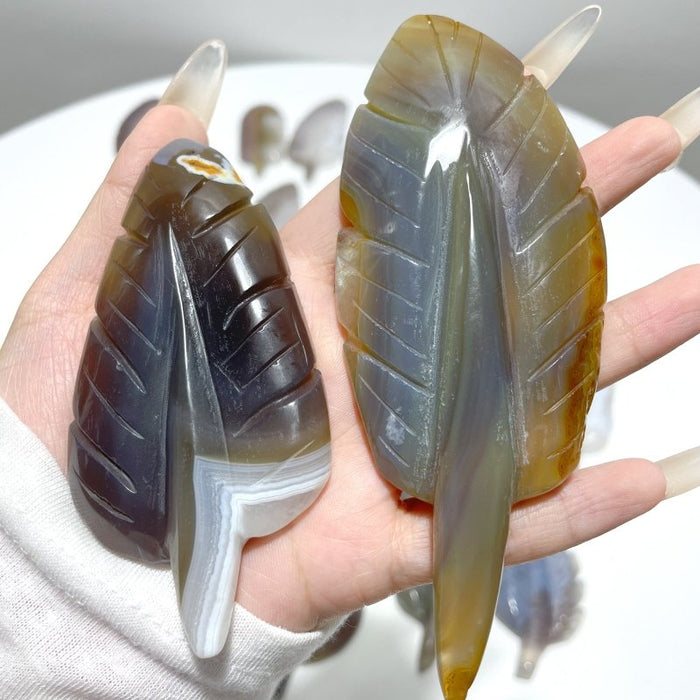 29 Pieces Beautiful Agate Feather Carving