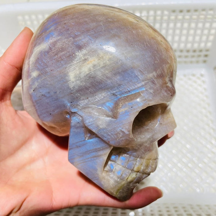 3 Pieces Moonstone Mixed Sunstone Skull Carving