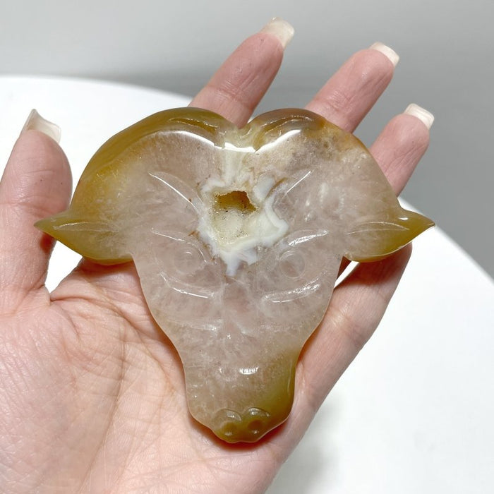 3 Pieces Unique Geode Druzy Agate Ox Head Crystal Carving With Stand